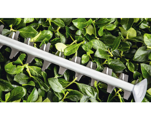 Taille-haie coupant des feuilles