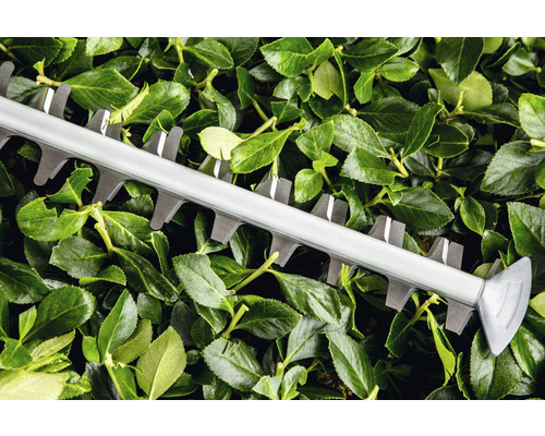 Heckenschere im Einsatz an einer Hecke