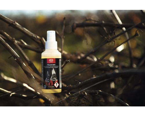 Nettoyant Felco 981 pour sécateurs