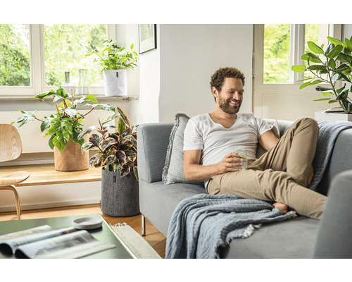 Wohnzimmer mit Mann auf Couch und Pflanzen in Pflanzgefässen aus Filz