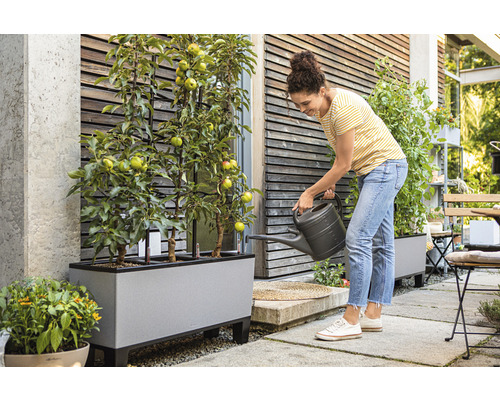 Femme arrosant des pommiers dans un bac à fleurs sur une terrasse