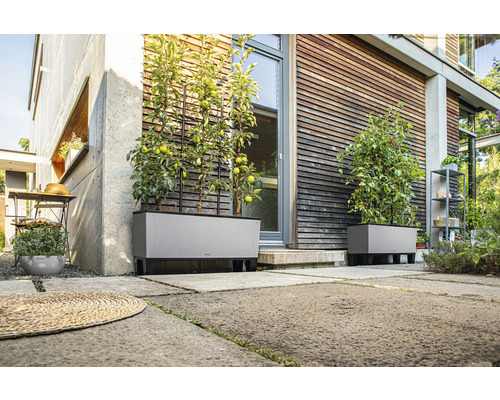 Scène avec deux bacs à plantes gris avec treillis devant une maison.