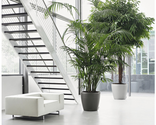 Hall lumineux avec escalier, fauteuil et plantes d''intérieur en pot