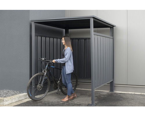 Abri à vélos métallique avec vélo et une femme