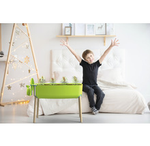 Chambre avec serre d''intérieur, plantée et sur pieds, avec enfant