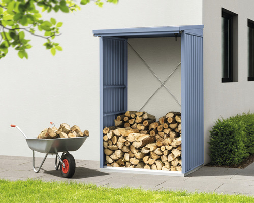 Photo extérieure d''un abri à bois avec du bois et une brouette avec du bois