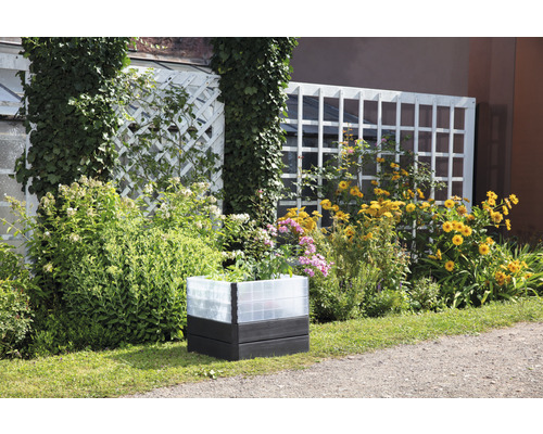 Garten mit Pflanzenkasten und Blumen