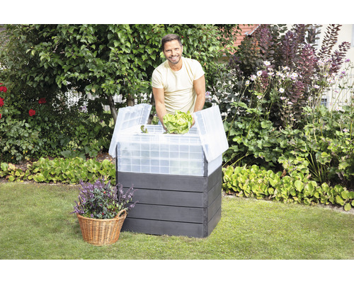 Jardinière en bois avec couvercle en plastique et homme avec de la salade dans le jardin