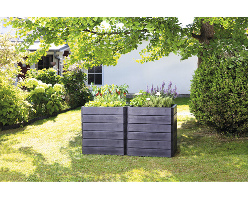 Deux jardinières en bois foncé dans le jardin, plantées de légumes et d''herbes aromatiques