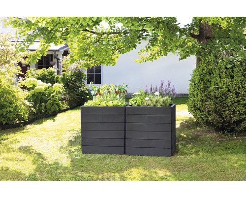 Deux bacs à plantes en plastique dans le jardin avec des plantes.