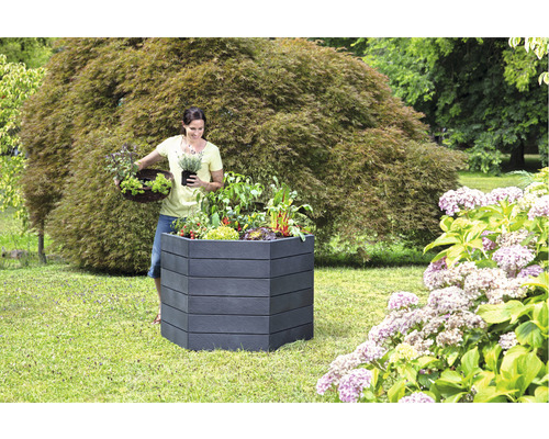 Une femme plante des légumes et des herbes aromatiques dans un potager surélevé dans le jardin.