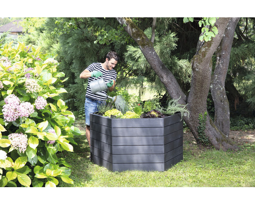 Un homme arrose des plantes dans un potager surélevé dans le jardin.