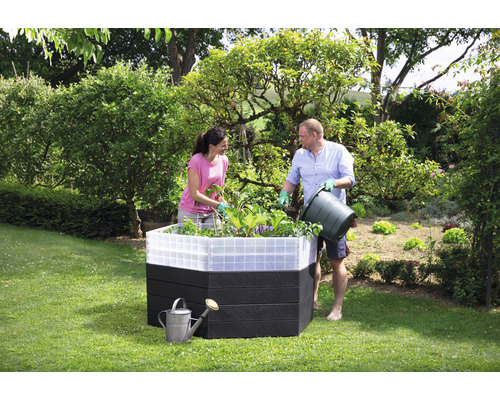 Des personnes plantent un potager surélevé dans le jardin avec un arrosoir à côté.