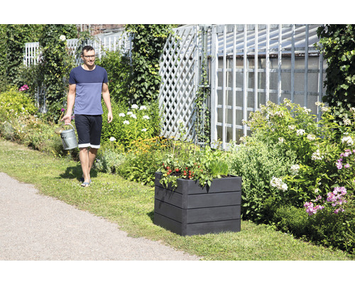 Homme avec arrosoir à côté d''un parterre surélevé planté dans le jardin.