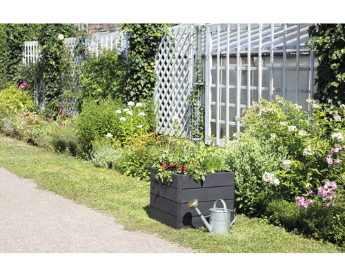 Scène de jardin avec potager surélevé planté et arrosoir devant une clôture de jardin