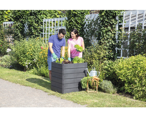Un couple plante un potager surélevé dans le jardin.