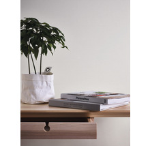 Dekorative Szene mit Zimmerpflanze im Papierbeutel, Büchern und Holzschreibtisch