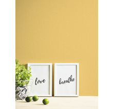 Dekorative Wandgestaltung mit zwei gerahmten Schriftbildern und einer Topfpflanze