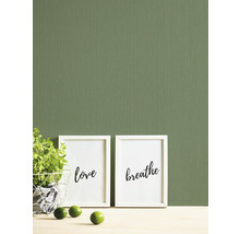 Dekorative Wand mit gerahmten Bildern und Pflanze