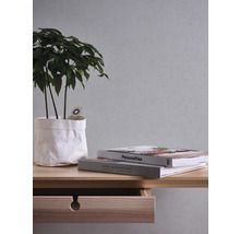 Dekoratives Arrangement mit Pflanze, Büchern und Holzkonsole