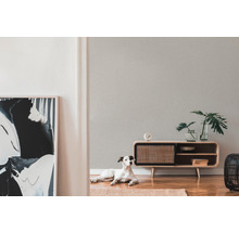 Helles Wohnzimmer mit modernem Lowboard, Dekoration, abstrakter Kunst und einem Hund