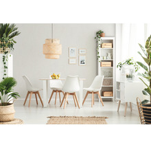 Heller Essbereich mit Esstisch, Stühlen, Regal und Zimmerpflanzen für eine freundliche Atmosphäre.