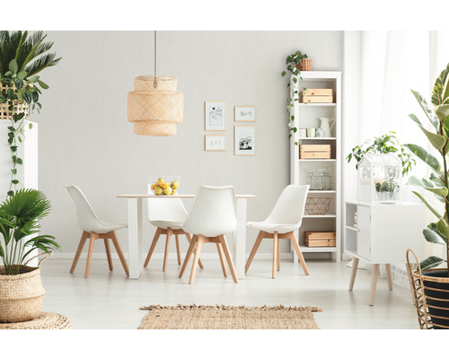 Heller Essbereich mit Esstisch, Stühlen, Regal und Zimmerpflanzen für eine freundliche Atmosphäre.