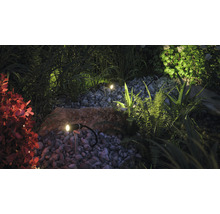 Paulmann Plug & Shine LED Spot mit Erdspiess Plantini Set 2 W 180 lm anthrazit IP65 Ø 2.1 cm-thumb-3