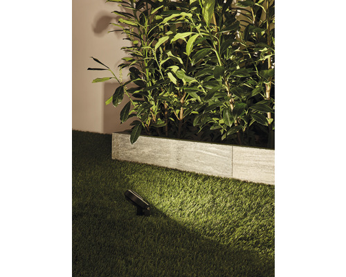 Scène avec spot encastrable au sol sur gazon et plantation