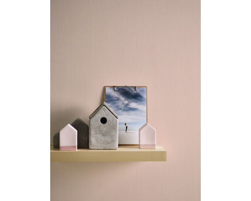 Maisons décoratives et photographie sur une étagère