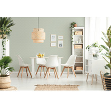 Salle à manger lumineuse avec table à manger, chaises, étagères et plantes décoratives