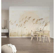 Fototapete Vlies LJX8-063 Le Jardin Dune Grass 8-tlg. 400 x 250 cm