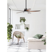 Wohnzimmer mit Deckenventilator, Sessel, Tagesbett und Pflanzen