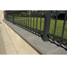 Detailansicht eines Gartenzauns aus Metall auf einer Steinmauer.
