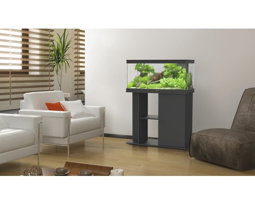 Wohnzimmer mit Aquarium auf Unterschrank