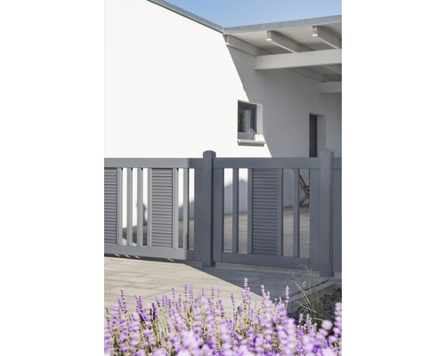 Grauer Gartenzaun vor einem weißen Haus und lila Blumen