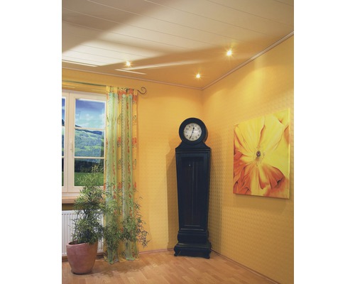 Dekorpaneel Quadro Silber Esche 12x147x1200 mm Dekorpaneel Quadro Silber Esche 12x147x1200 mm