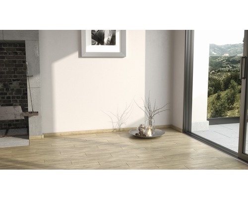 Pièce lumineuse avec plancher en bois, barbecue et fenêtre