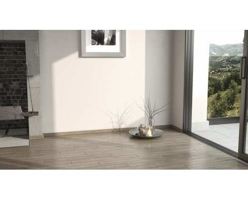 Pièce lumineuse avec cheminée, plancher en bois et vue sur la verdure