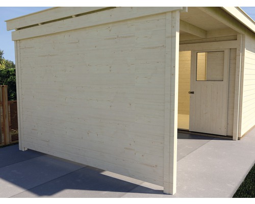 Abri de jardin en bois avec porte et fenêtre