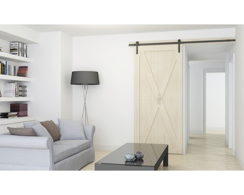 Salon lumineux avec porte coulissante de style grange, canapé, bibliothèque et lampadaire