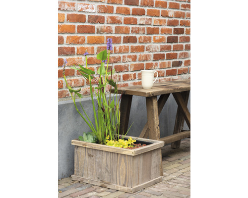 Mini-bassin 'Brussels Brown' FloraSelf avec plantes et anneau de culture 40 cm caisse en bois capacité 15 l