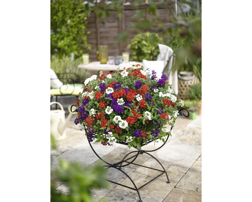 Arrangement floral dans une jardinière sur un support en métal dans le jardin.