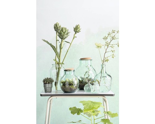 Dekorative Glasgefäße mit Pflanzen auf einem Tisch