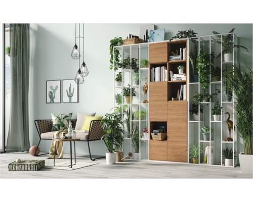 Salon avec étagère, canapé et plantes d''intérieur