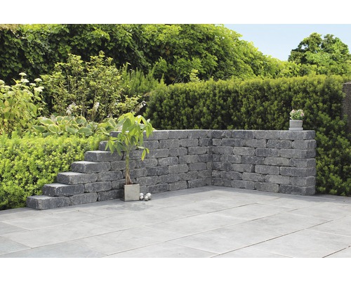 Jardin avec mur, escalier et plantes