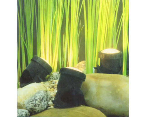 Décoration d''aquarium avec des pierres et des plantes