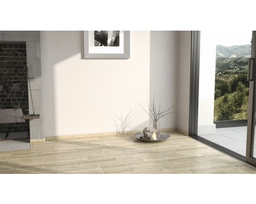 Pièce lumineuse avec barbecue, fenêtre et parquet