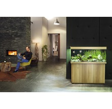 Aquarium Juwel Rio 240 LED ohne Unterschrank helles Holz