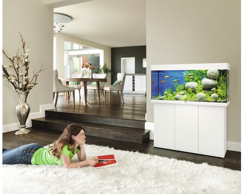 Wohnzimmer mit Aquarium auf Unterschrank, gefüllt mit Fischen, Pflanzen und Steinen